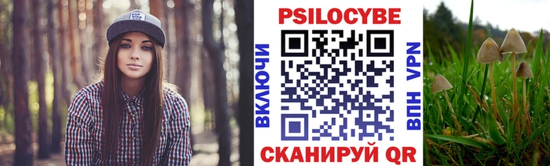 Псилоцибиновые грибы Psilocybine cubensis  Купить  Костерёво 